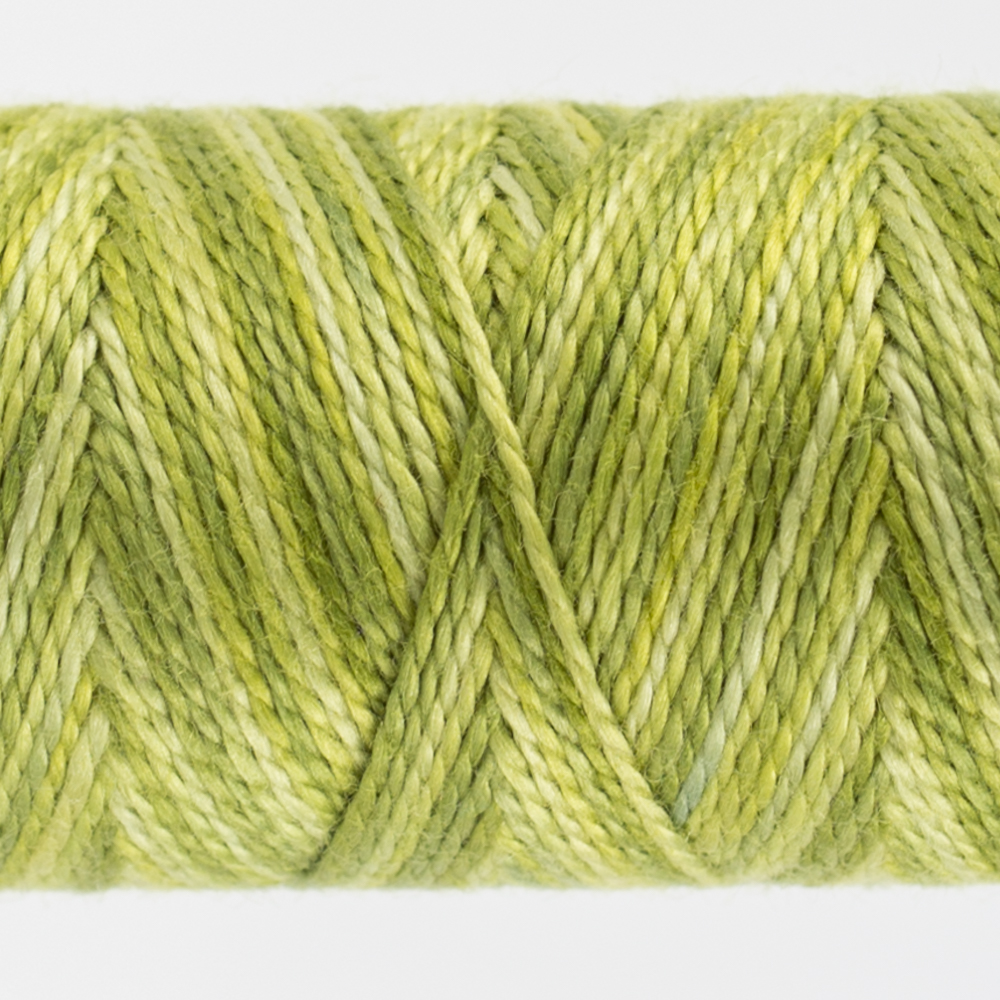 closeup of variegated perle cotton thread inchworm green colours